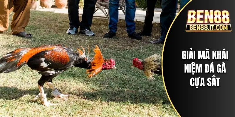Trải nghiệm chất lượng thi đấu đỉnh cao